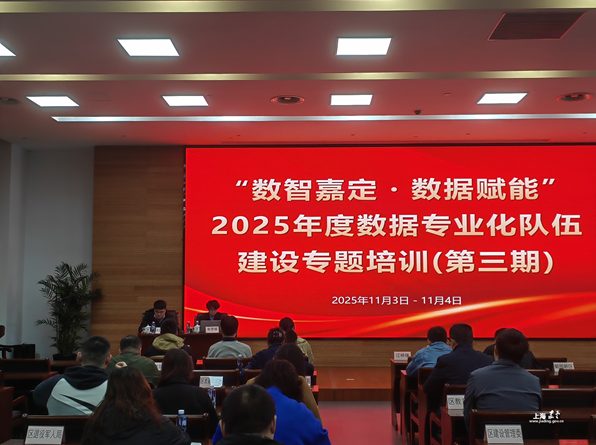 嘉定区数据局举行“数智嘉定・数据赋能”2025年度数据专业化队伍建设专题系列培训（第三期）　 